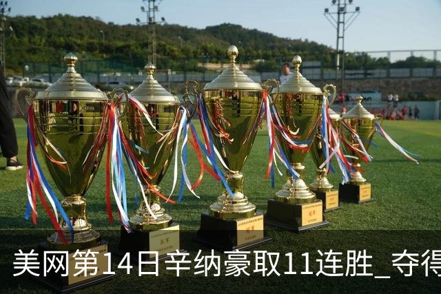 美网第14日辛纳豪取11连胜 夺得生涯大满贯第2冠